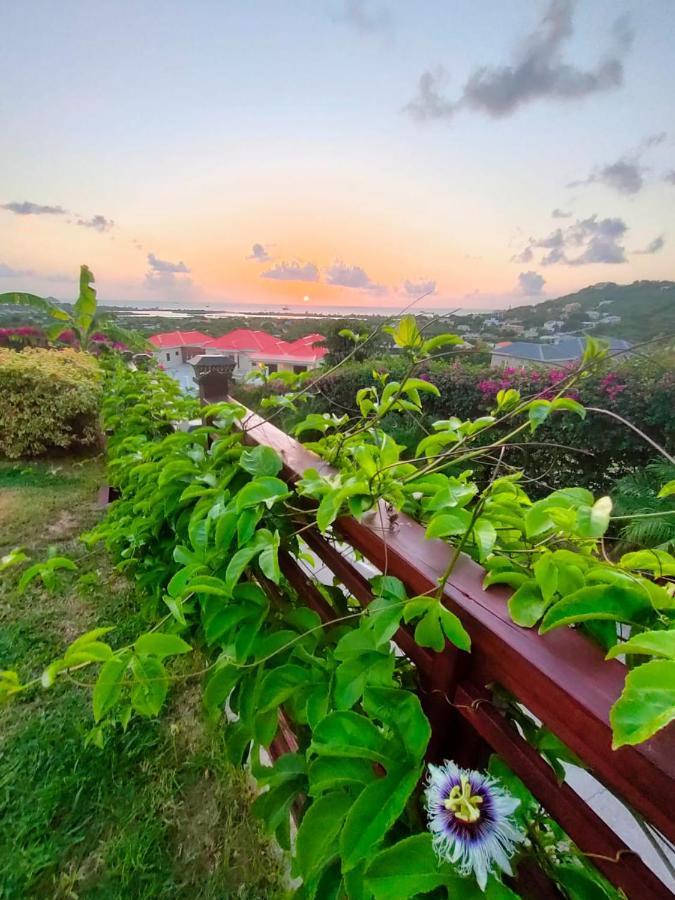 Holiday Home Belvedere Dickenson Bay エクステリア 写真
