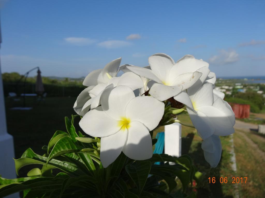 Holiday Home Belvedere Dickenson Bay エクステリア 写真