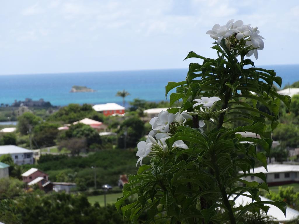 Holiday Home Belvedere Dickenson Bay エクステリア 写真